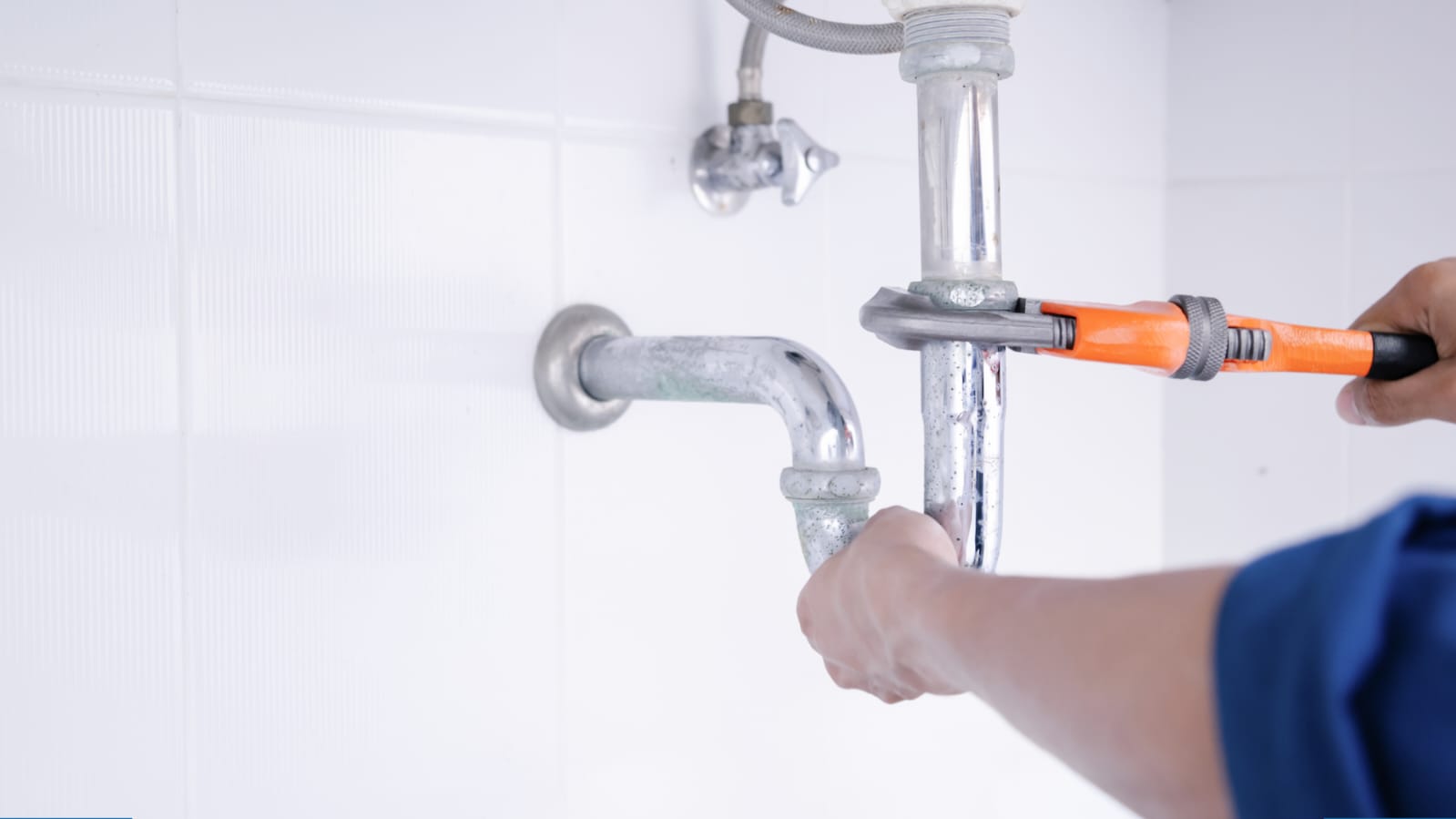 9f736ea5-c67c-45ce-8520-207f4bbb49f0